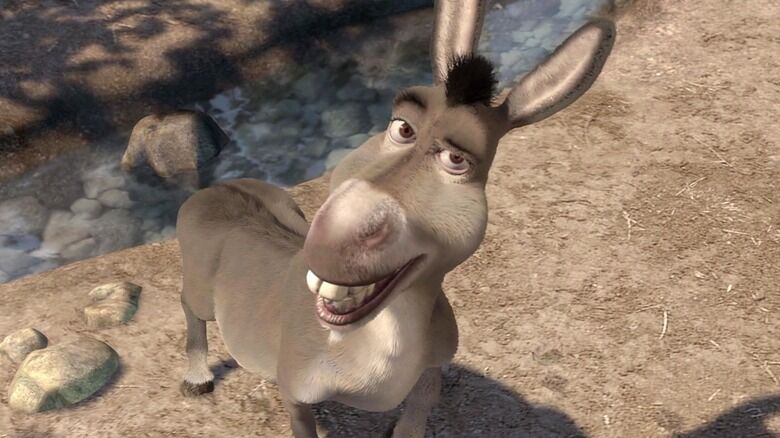 What a donkey!